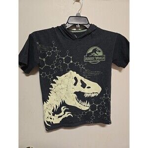 Lego Jurassic World T-Rex Dinosaur Red Short Sleeve Hooded T-Shirt Youth Boys L